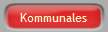 Kommunales